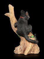 Hexen Katze - Onyx auf Baum