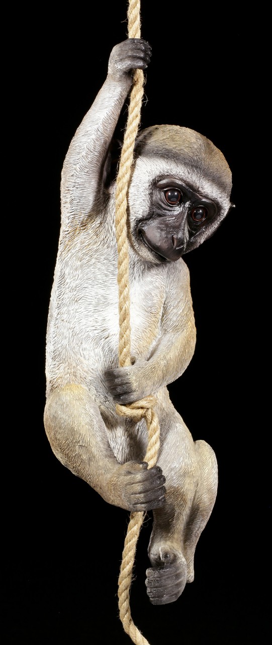 Gartenfigur Affe - Grünmeerkatze am Seil hängend