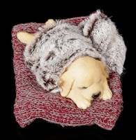 Dog Figurine asleep on red Blanket