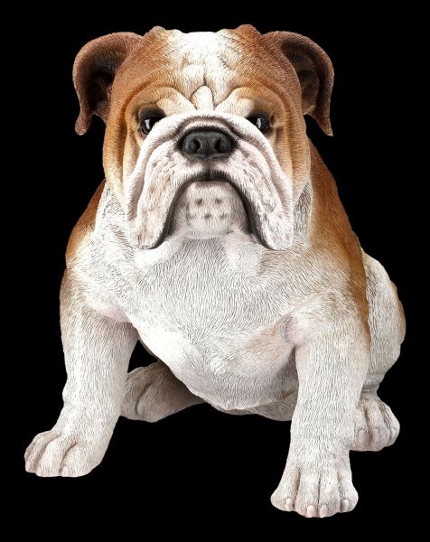 Bulldoggen Figur sitzend